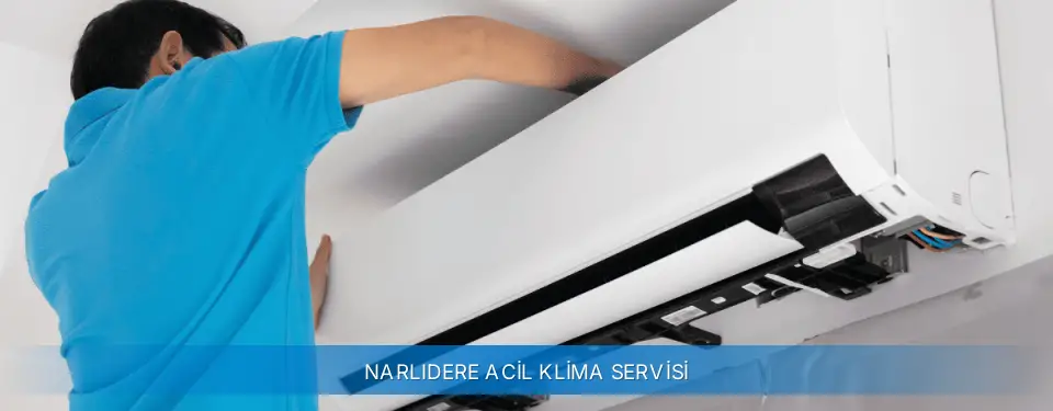 Narlıdere İlçemi Alarko Carrier Acil Klima Servisi