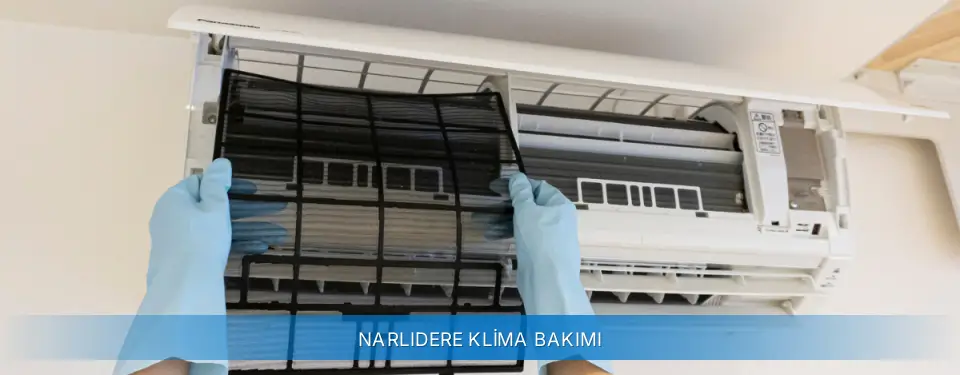 Narlıdere İlçemi Alarko Carrier Klima Bakımı